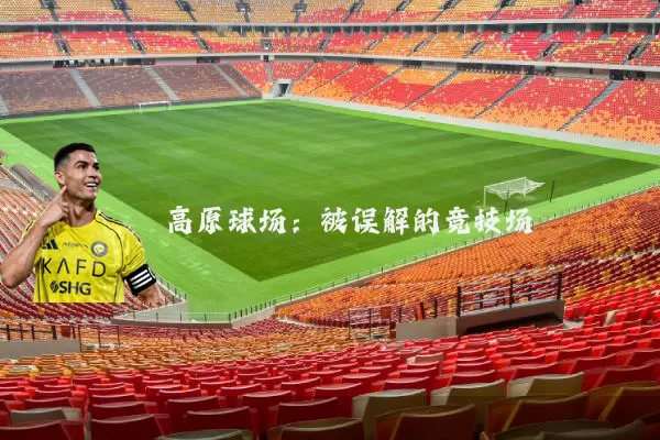高原球场：被误解的竞技场