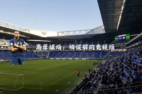 高原球场：被误解的竞技场
