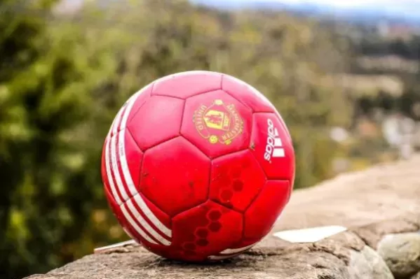 选择九游体育的理由